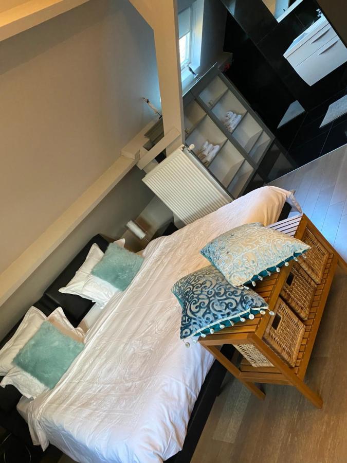 Cosy Studio Met Zwembad Beringen Zewnętrze zdjęcie